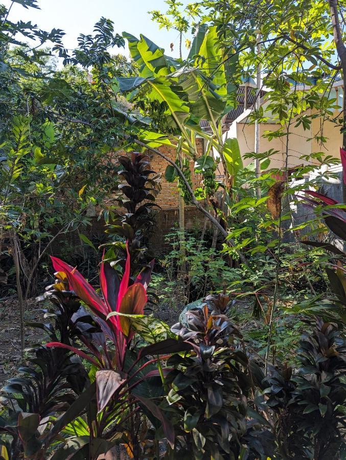 לבואן באג'ו Agus Family Homestay מראה חיצוני תמונה